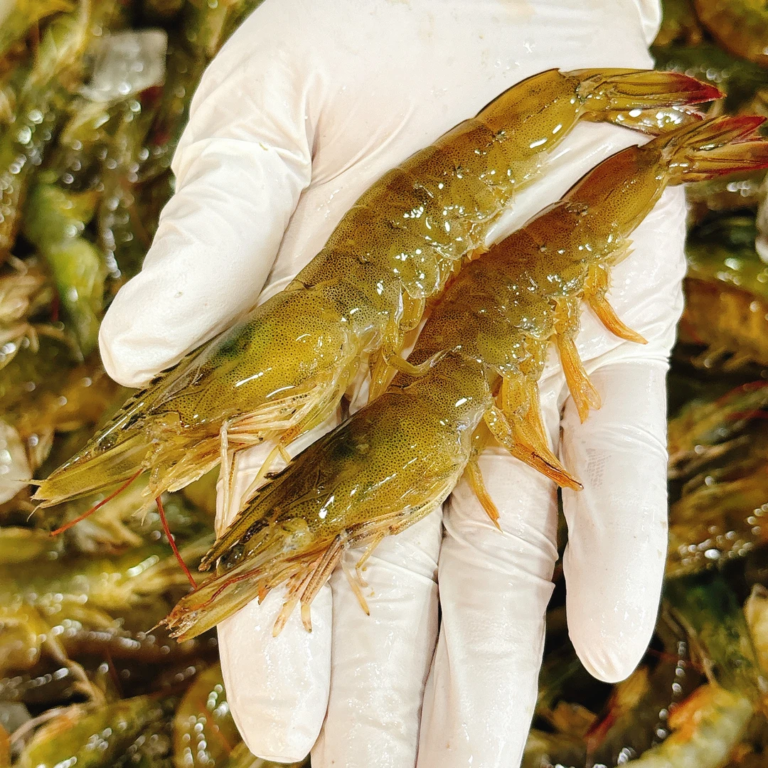 冰鲜大虾（保鲜不保活）500g