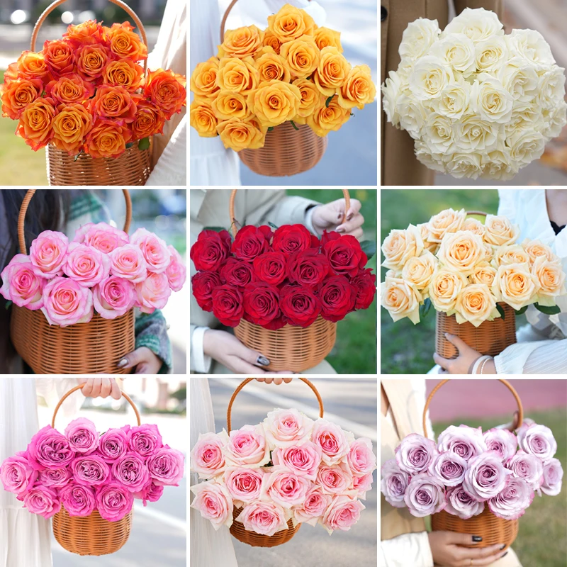 新号福利  精品随机玫瑰30支  颜色随机发