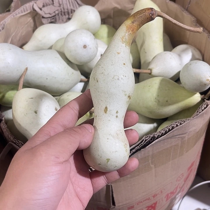 大果紫檀（缅甸花梨）阿*江