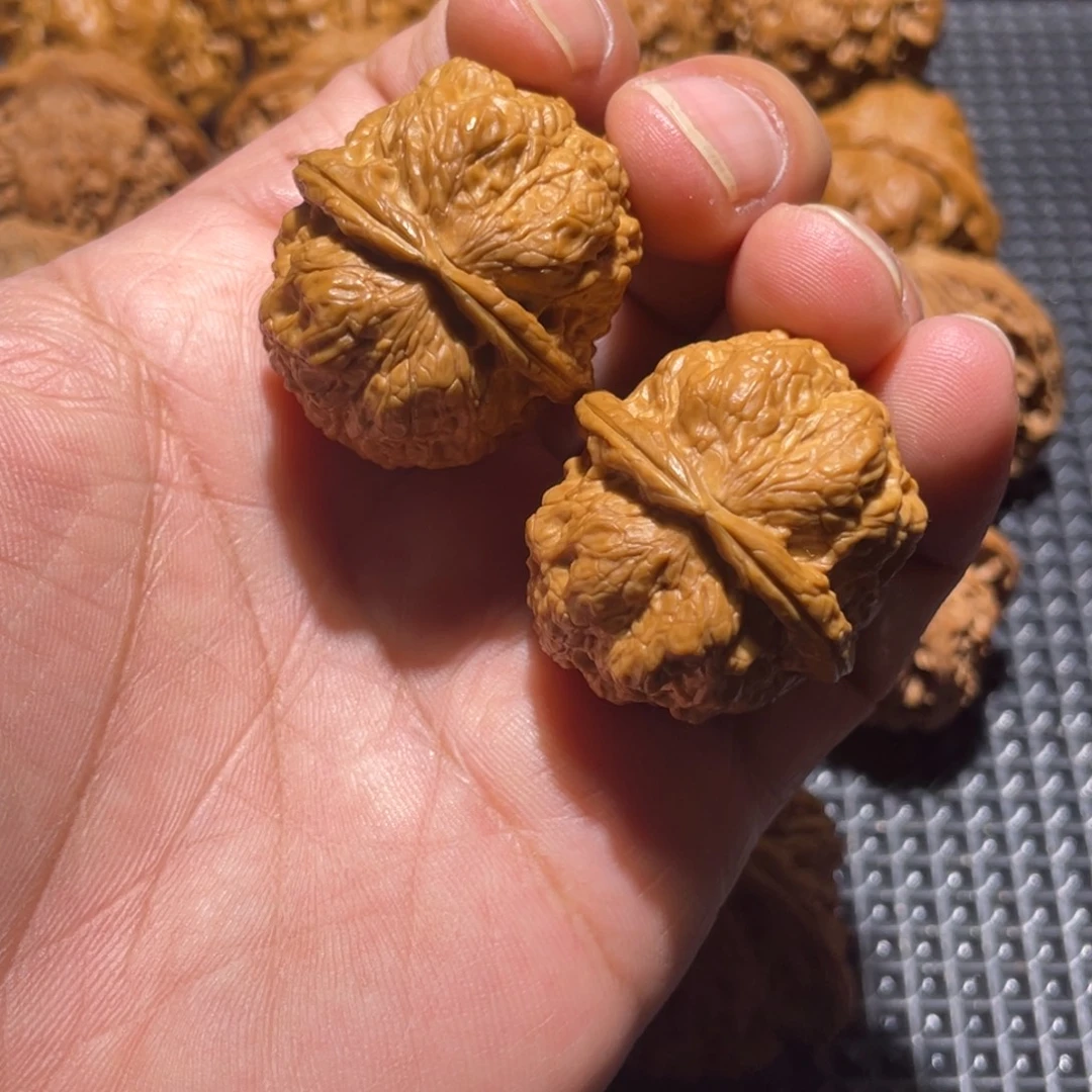 核桃32云南铁核桃