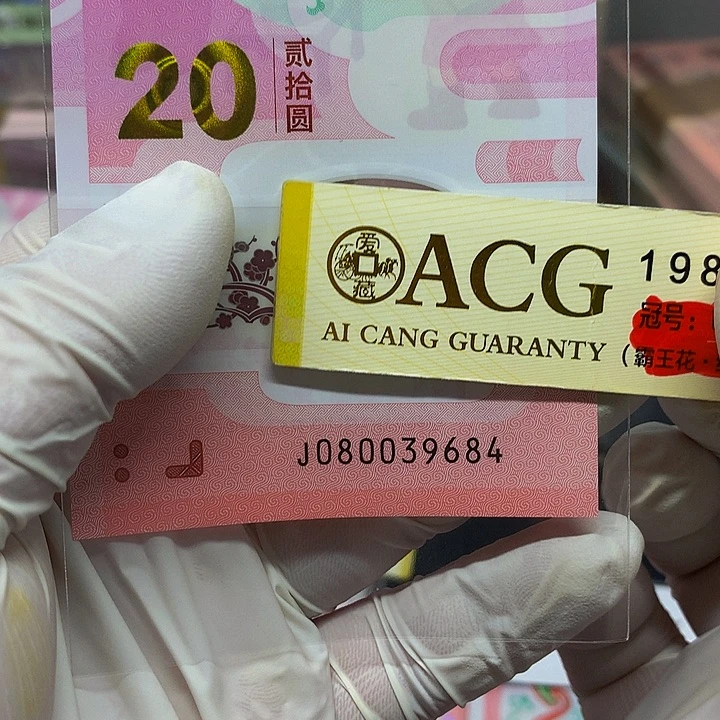 一张一张一张一张一张一张