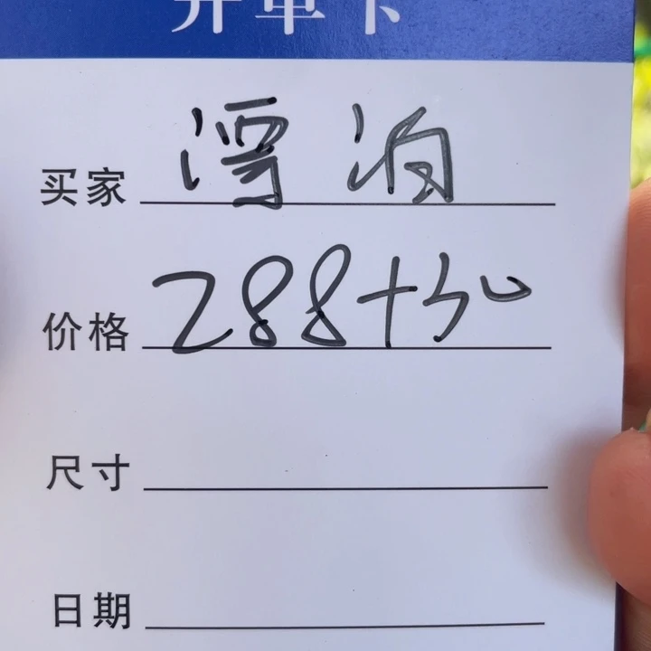 漂***狼非金属手镯下单链接