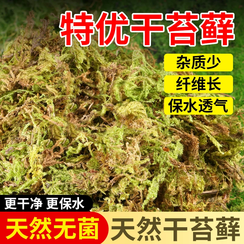 水苔蝴蝶兰专用的营养土干苔藓种植营养土石斛兰花爬宠垫材纯天然