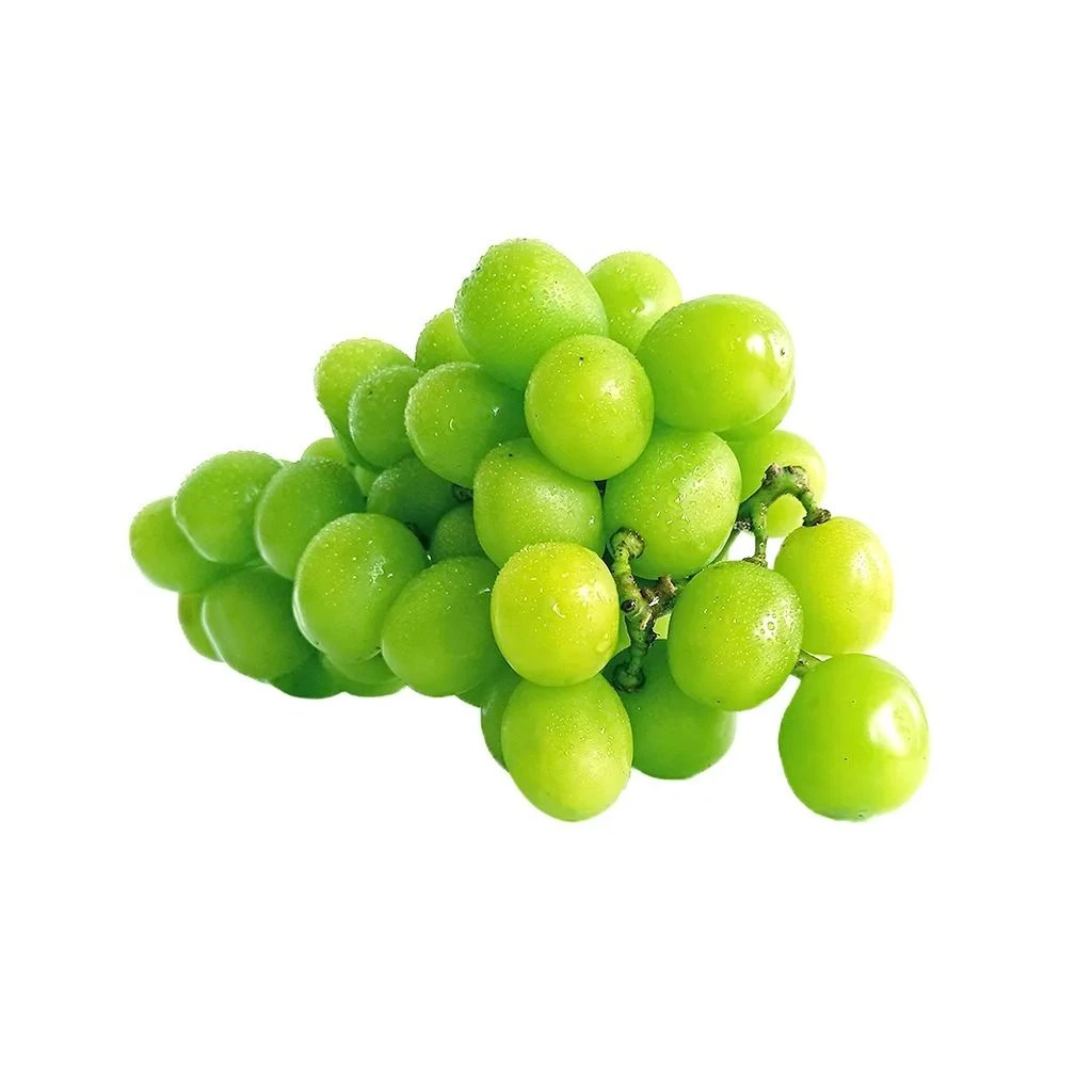 无品牌无籽晴王阳光玫瑰香葡萄500g云南省