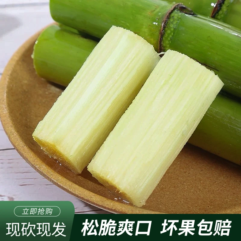 【普通装】青皮甘蔗新鲜果肉装3-5斤 懒人甘蔗 青皮甘蔗 易手撕