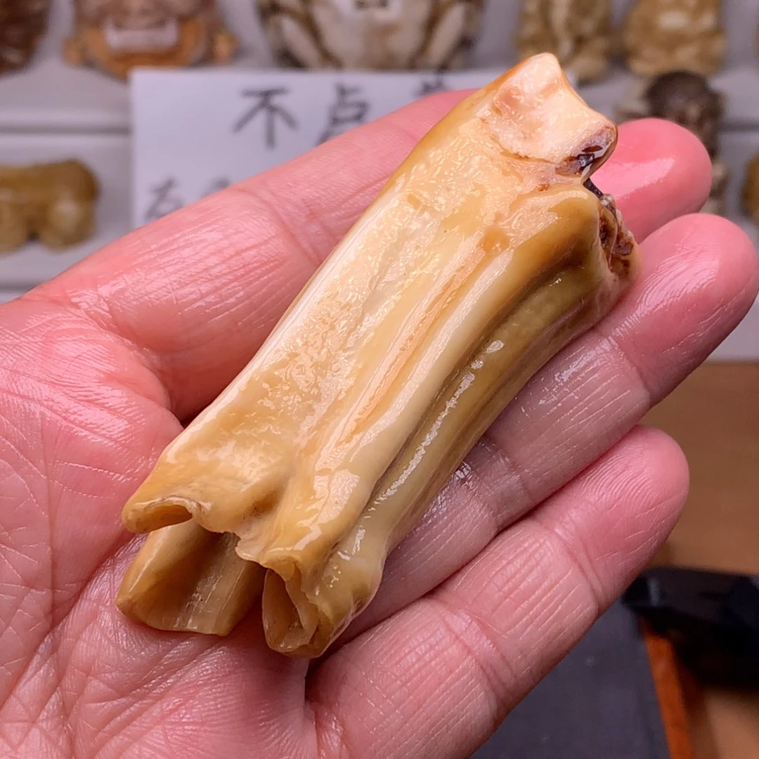 驼骨其他天天都在盘