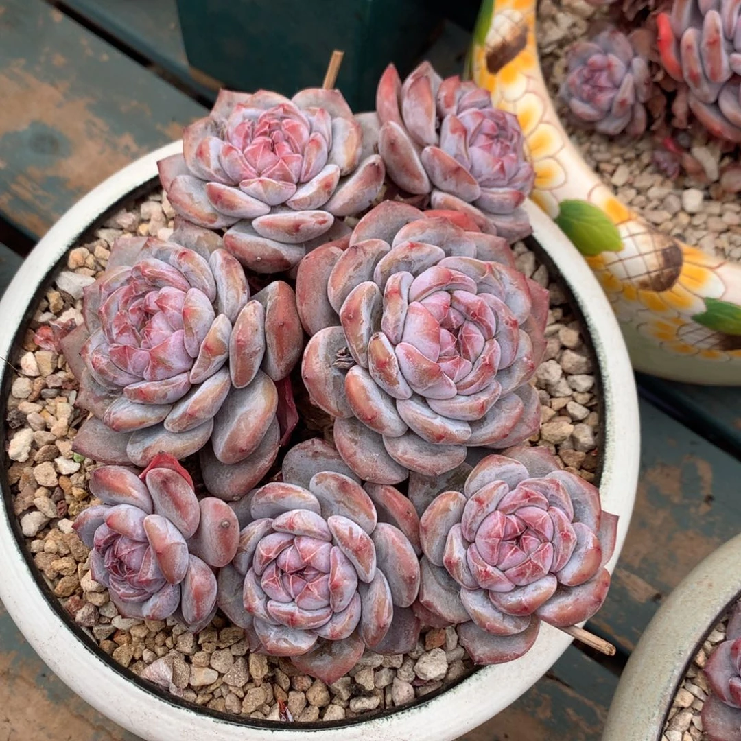 哈哈哈哈哈哈哈哈