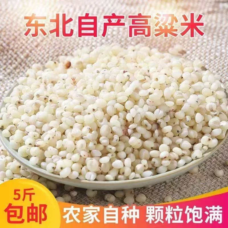 【到手5斤】东北特产去皮白高粱米非粘糯粗粮五谷杂粮D