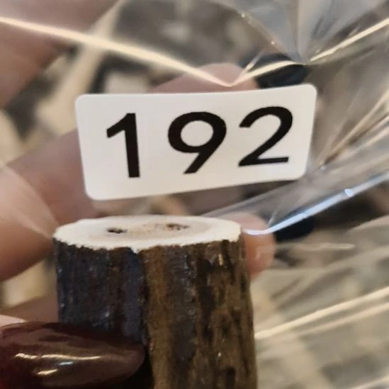 u***6鹿角鹿角鹿角鹿角鹿角鹿角