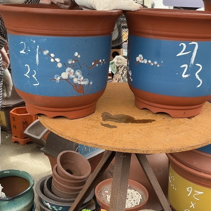 27+27蓝金钟点菜花盆紫砂花盆