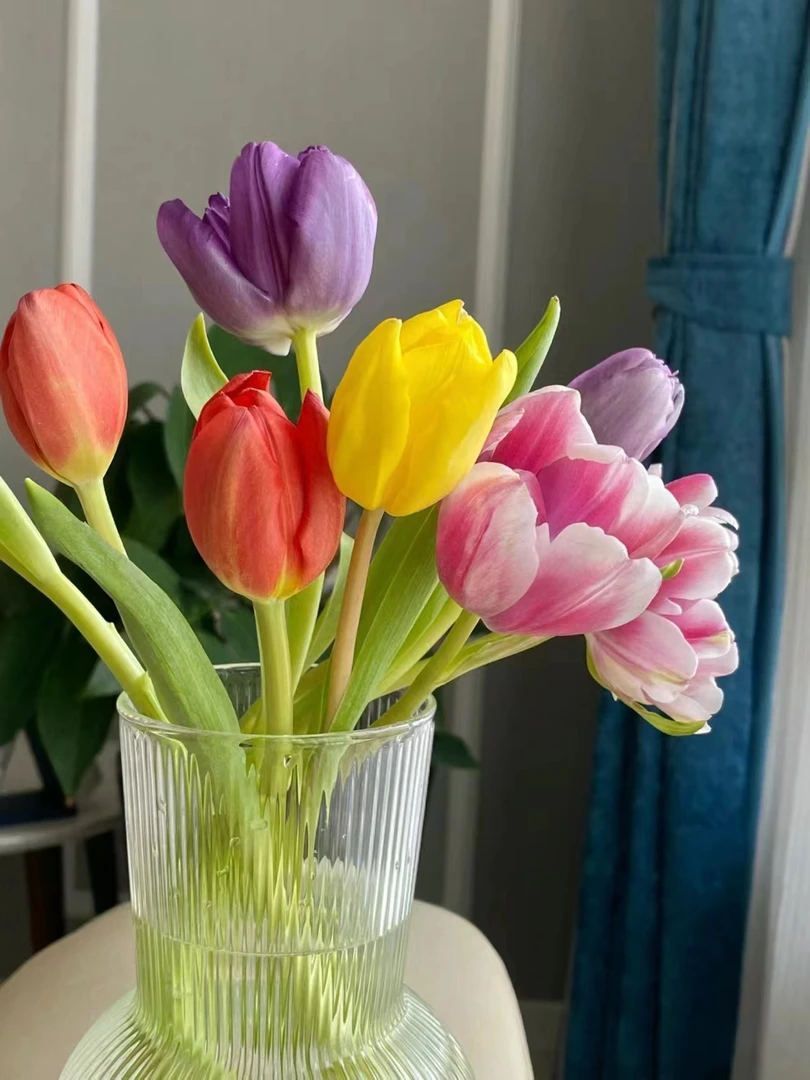 混色郁金香一把（一把10支） 批发花店摆地摊直发一手货源