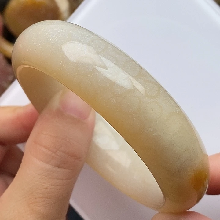 硅化玉未镶嵌颈饰57.7