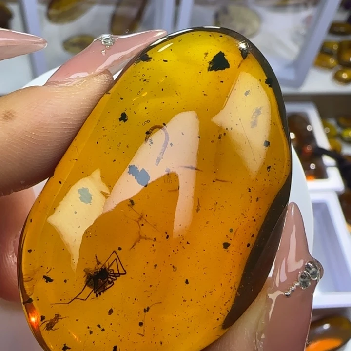 大***3琥珀未镶嵌裸石虫珀标本