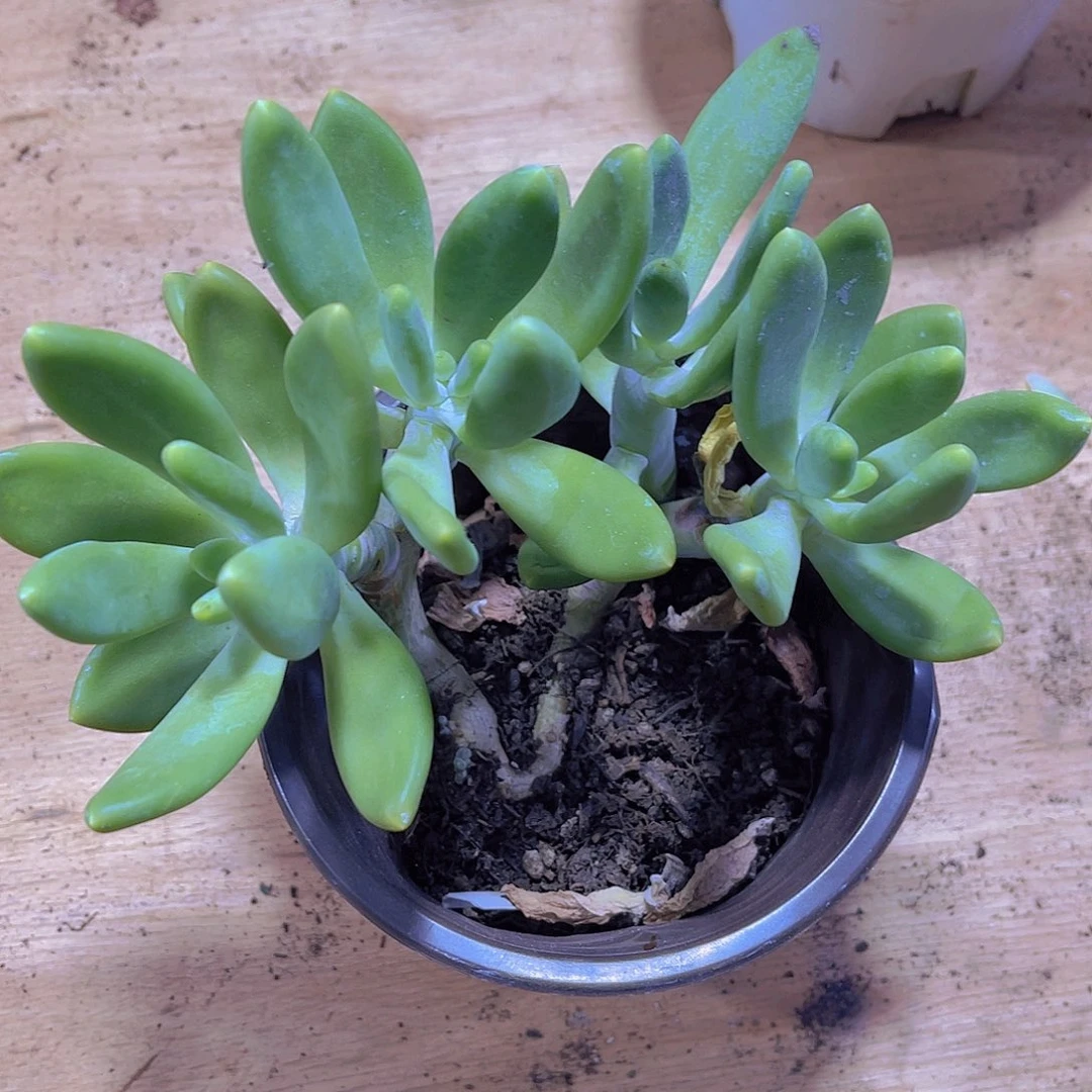 小**子00000000000566