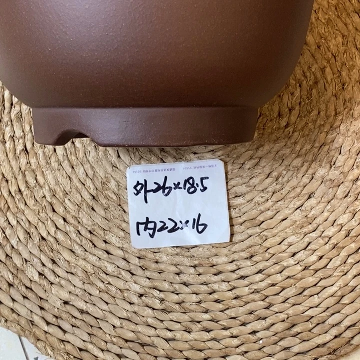 别***难花盆紫砂  福利紫泥大金钟1206