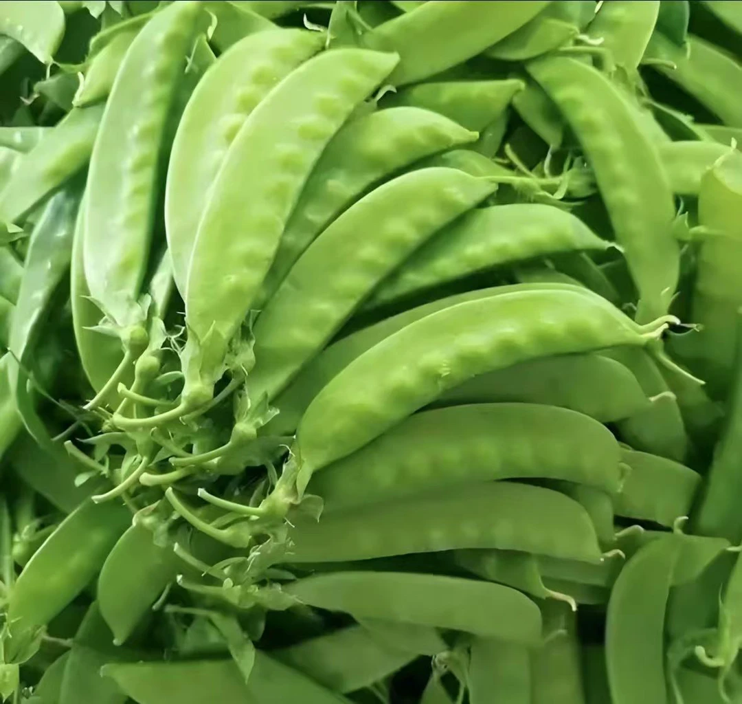 美味荷兰豆(嫩豌豆尖)