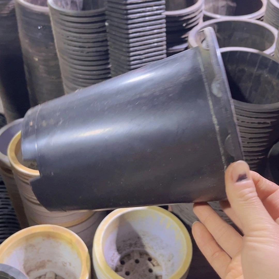 塑料旧17公分黑万象盆15个