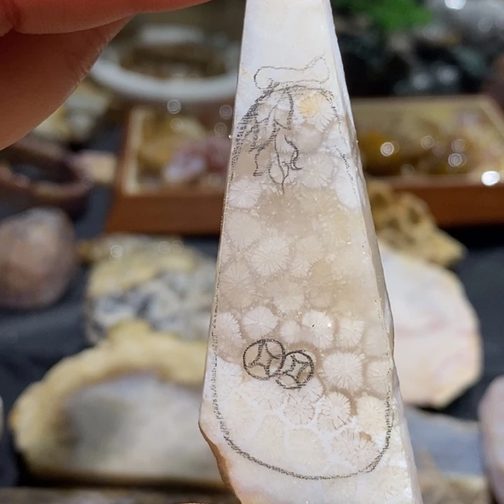 【闪购商品】未镶嵌珊瑚玉硅化玉