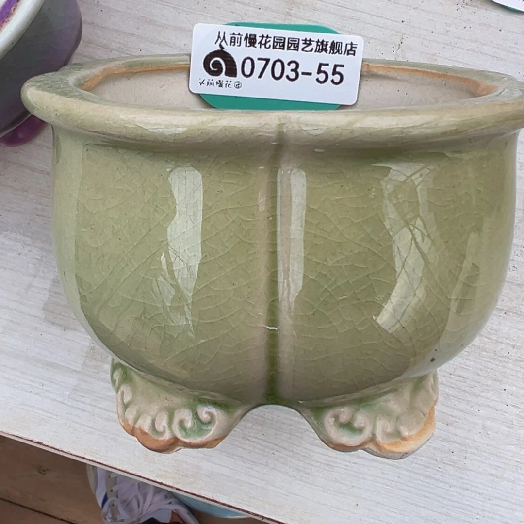 多肉一物一拍0703-55