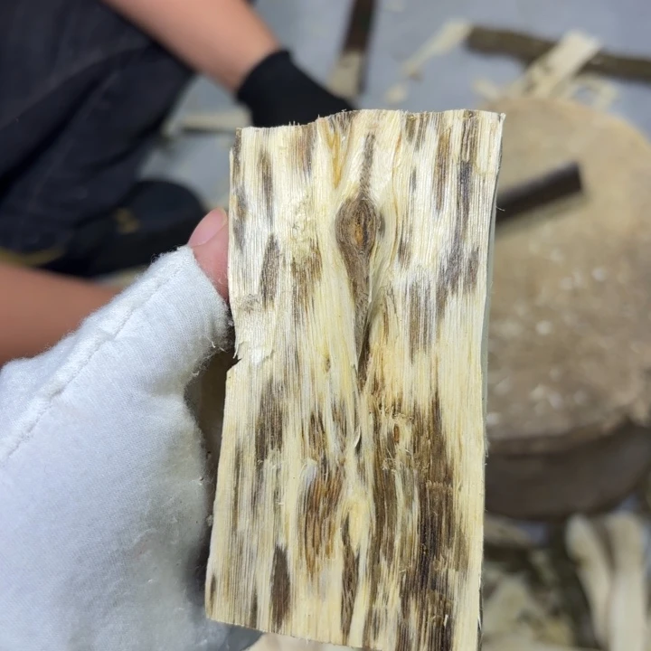 昊***B木糖结原木发一份