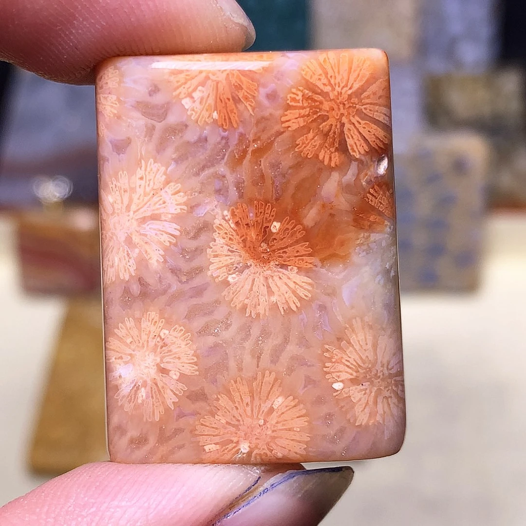 硅化玉珠宝奇石合金随**留