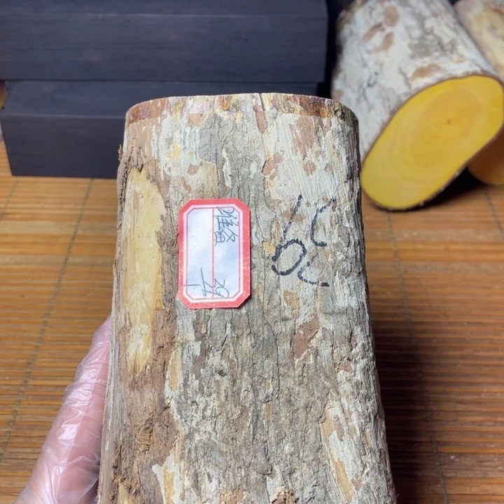 准***飞湖北高山小叶黄杨