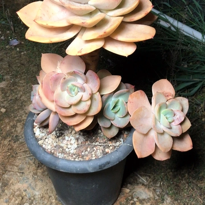 寸128//////////////