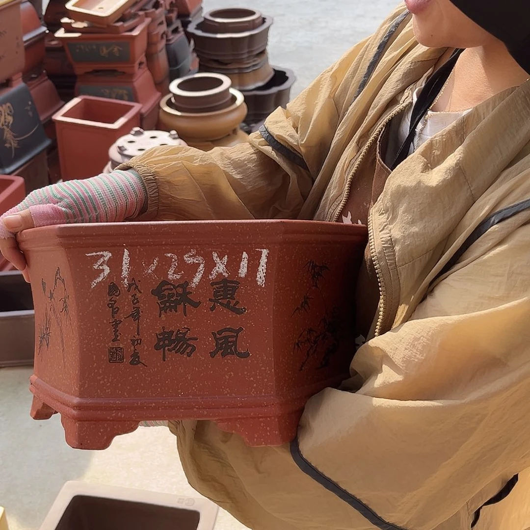 紫砂花盆盆景艺术