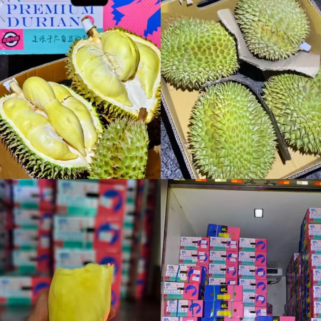 泰狼金枕榴莲泰国老树树熟新鲜榴莲一物一拍一果一重核小金枕泰国东部