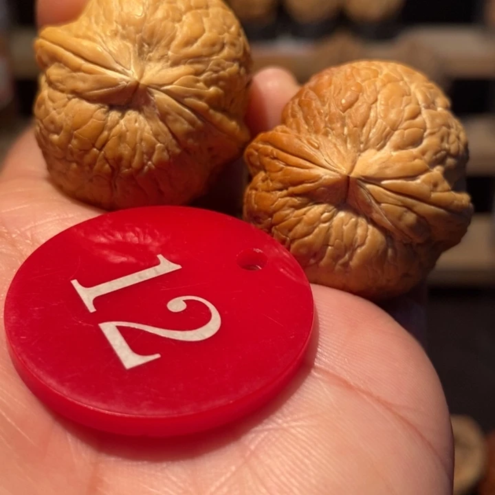 木质类粗筋彩西瓜36尺寸