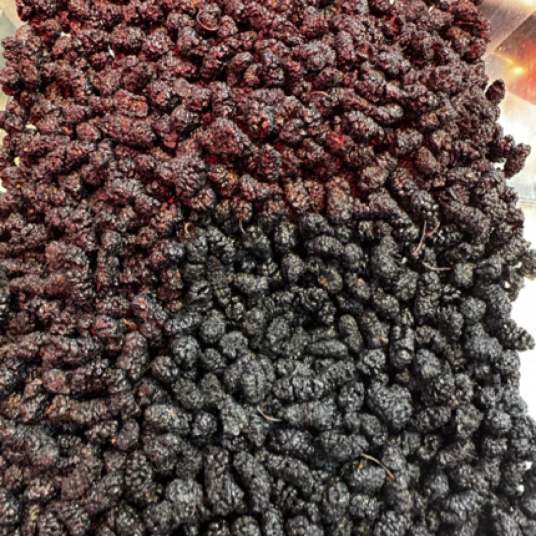 四川攀枝花黑桑葚500克新鲜