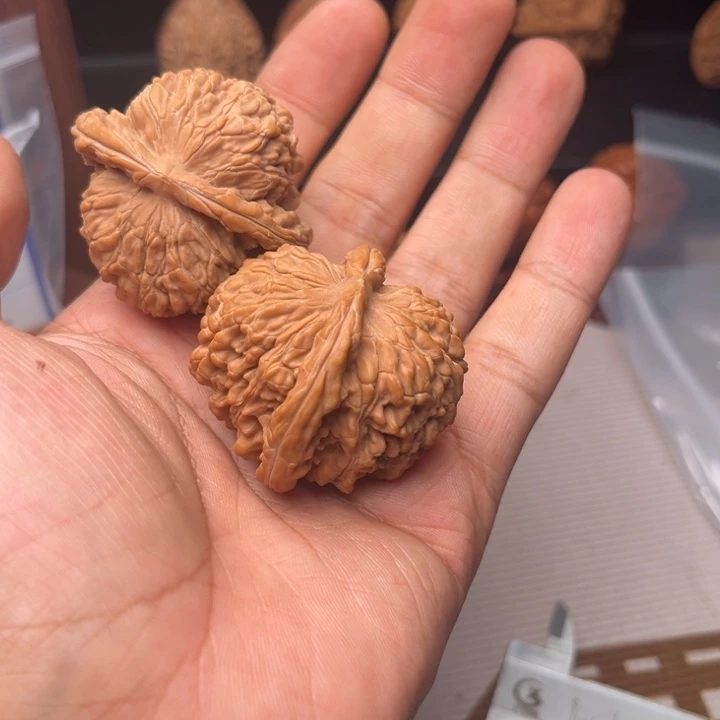 破烂莱水四座楼狮子头
