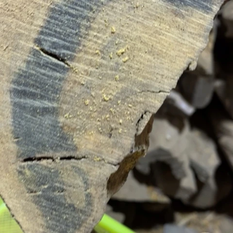 阿***0贡木把件定制123456878998