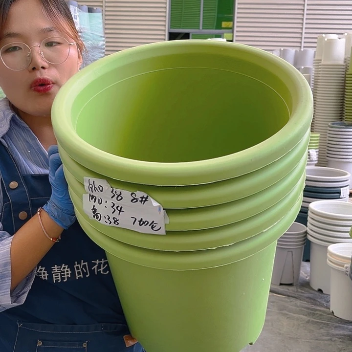 四季盆8#果绿色3个无托