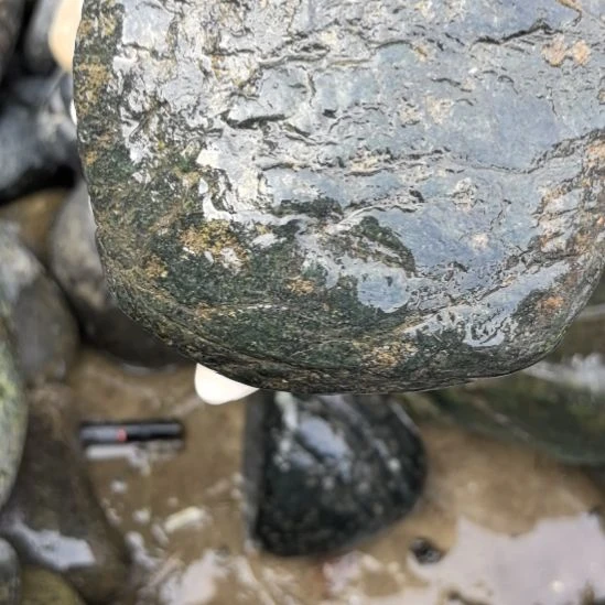 用***7藏玉药王石原石一个摆件