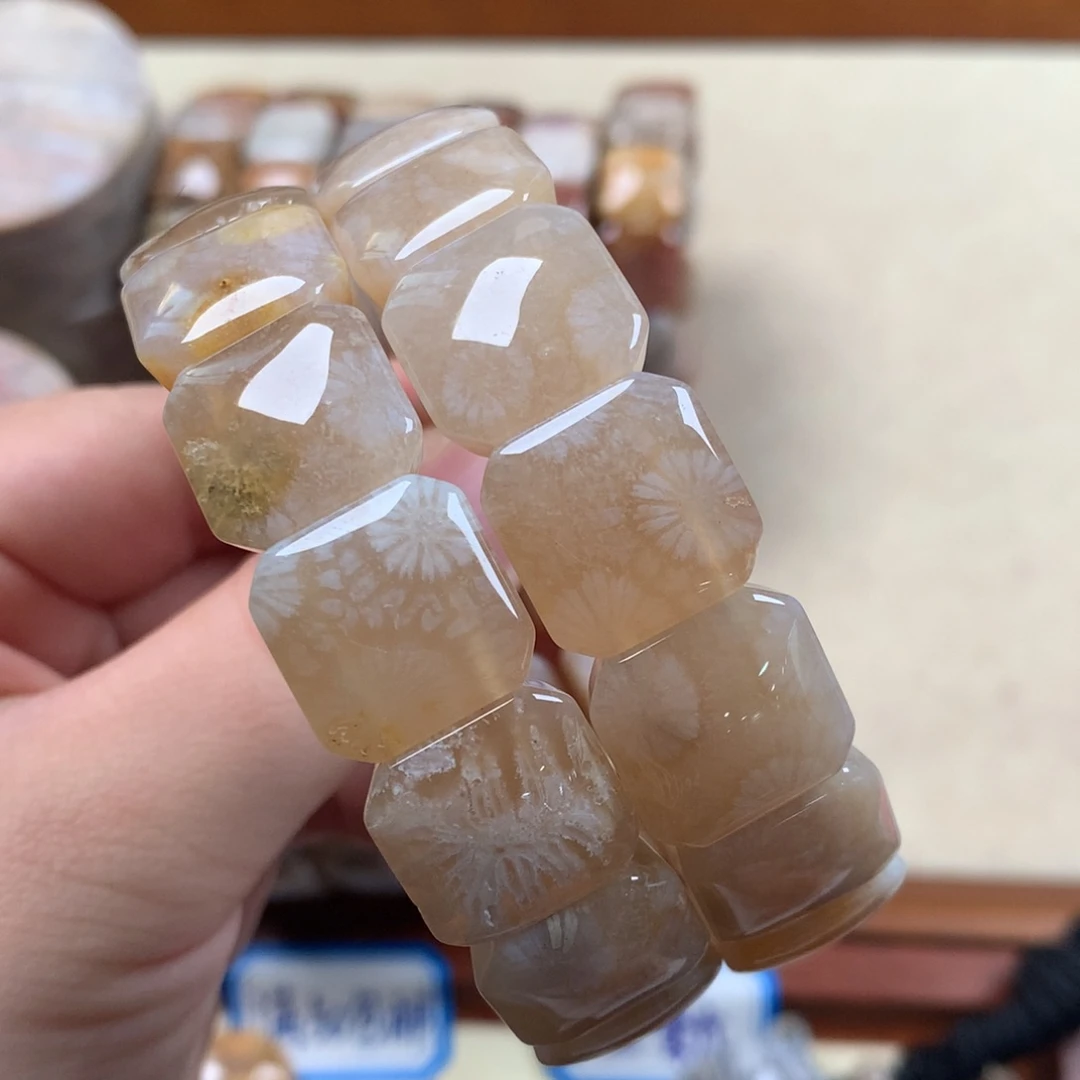 未镶嵌上新手排300/个，可挑。05硅化珊瑚（珊瑚玉）