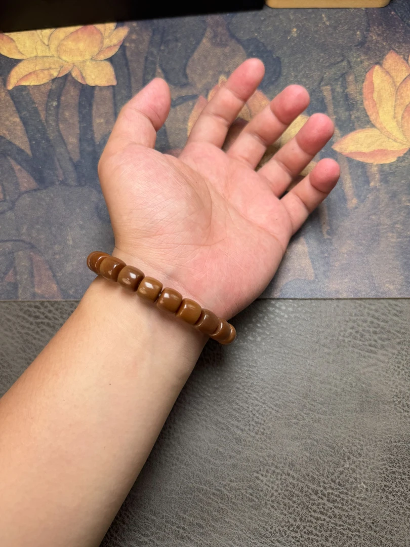 A031菩提根巧克力直切