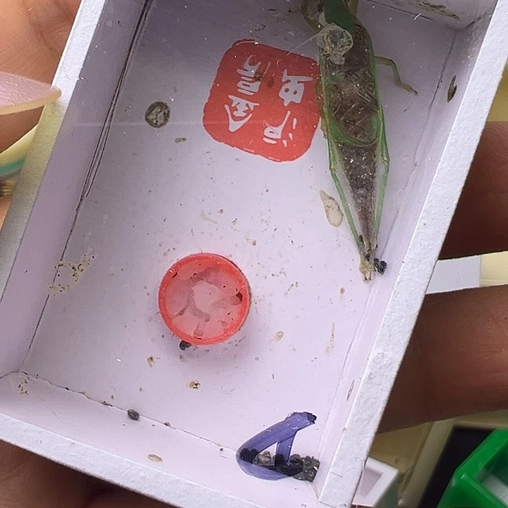 ༺***༻哈哈哈哈哈哈哈哈哈哈