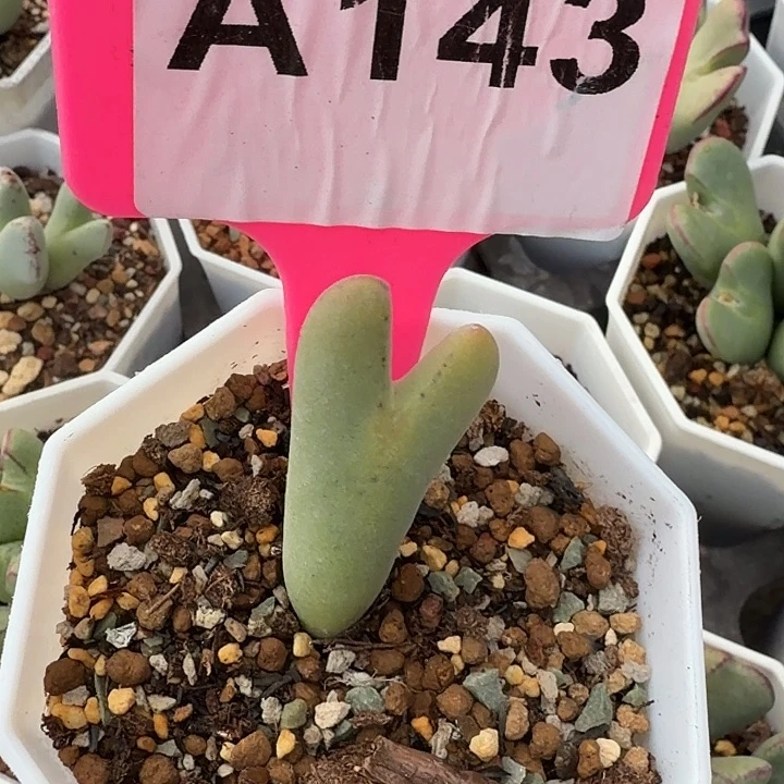 一****143mmmnnnnnnnnnnnnnnnj