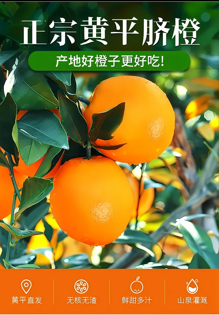 贵州黄平脐橙高山种植橙子农家自种鲜甜多汁新鲜采摘果园直发