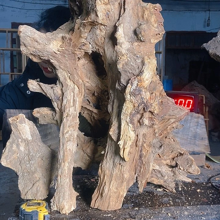 楠木（金丝楠）其他亮*彩