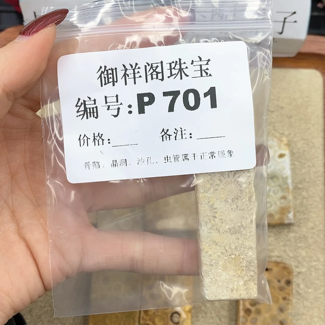 硅化珊瑚（珊瑚玉）P未镶嵌元*