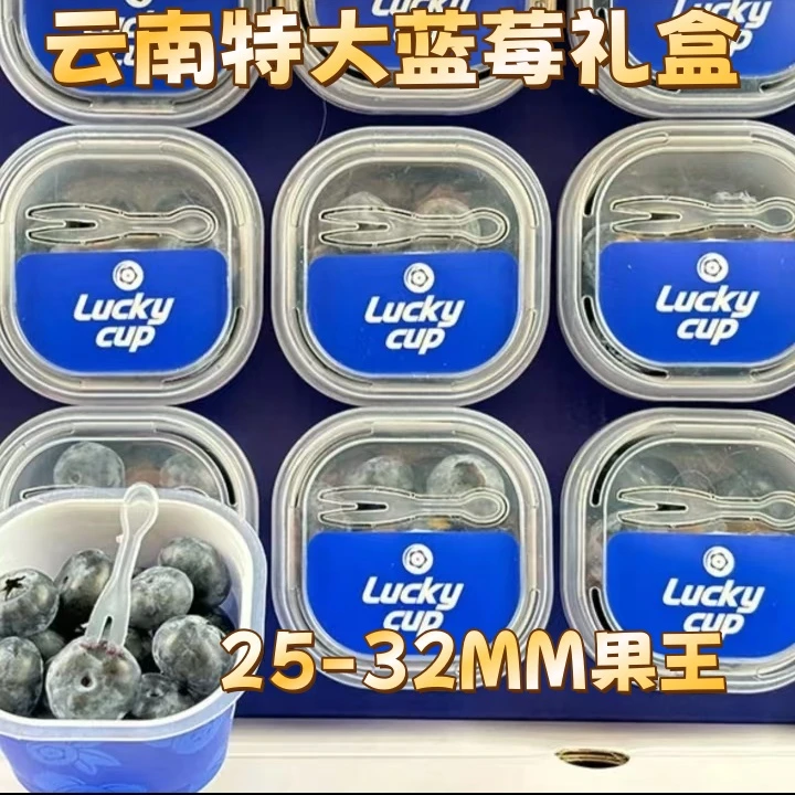 【端午专享】云南特大蓝莓礼盒新鲜蓝莓
