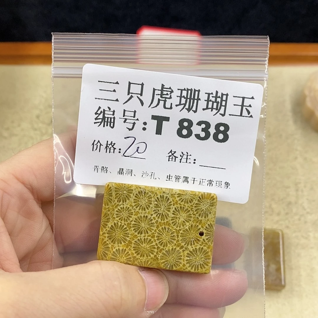 硅化珊瑚（珊瑚玉）1未镶嵌三***.