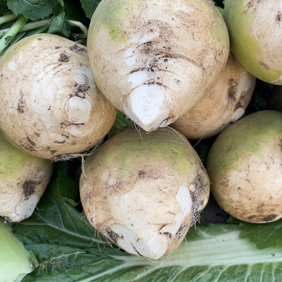 中国大陆拉个子头六斤赶集含箱