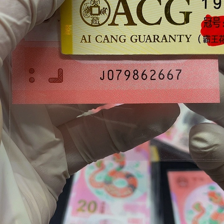 一张一张一张一张一张