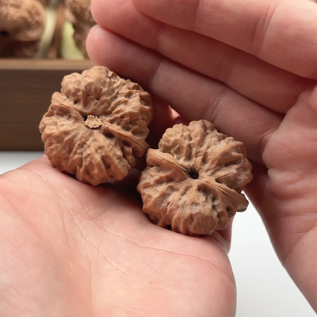 延庆蛤蟆山地果子