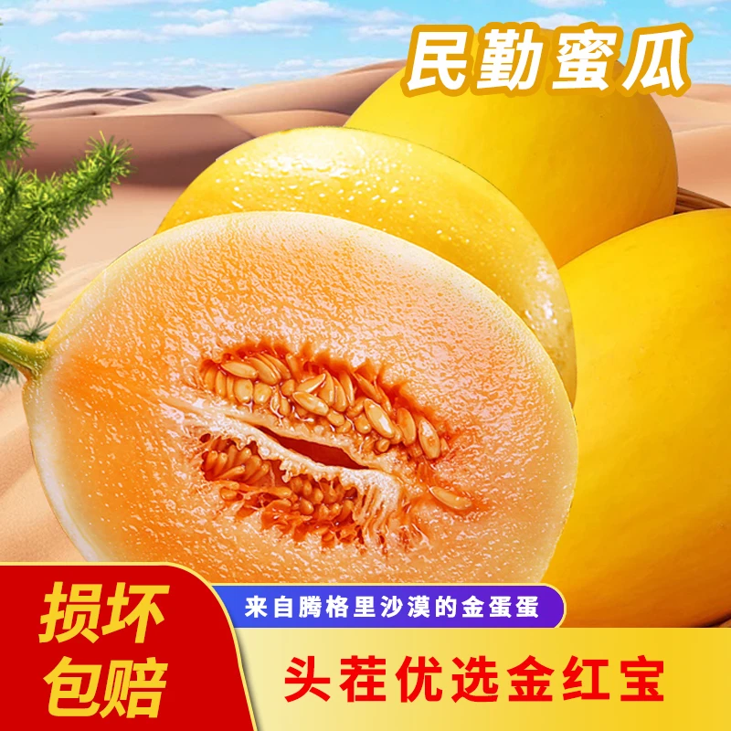 zb金红宝甘肃民勤头茬沙漠蜜瓜新鲜时令当季水果黄金香瓜应季水果
