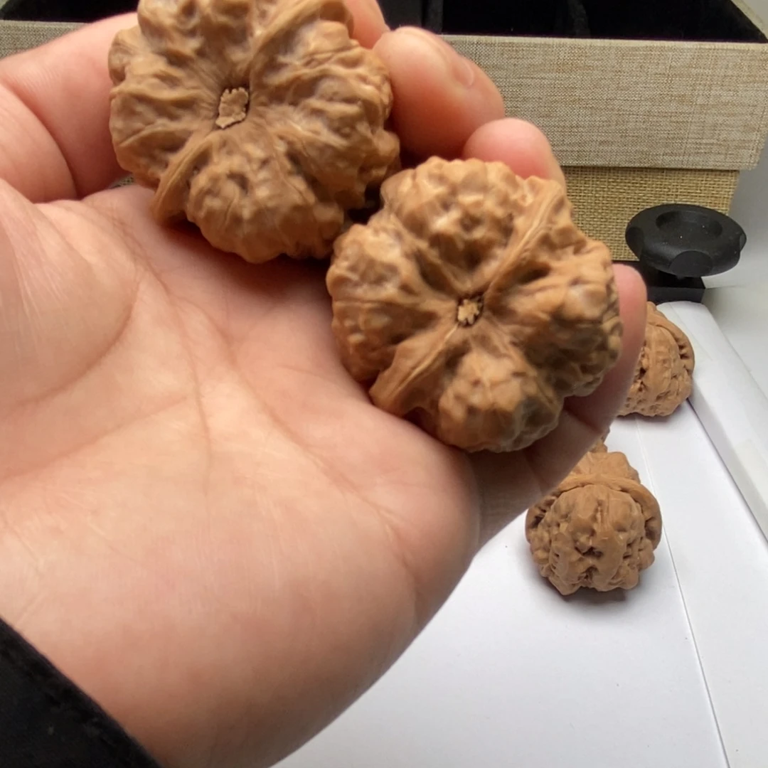 大***疆好的我真的好喜欢这个节目