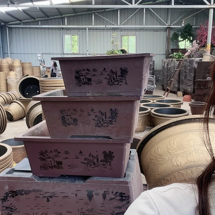 盆景8865788896685